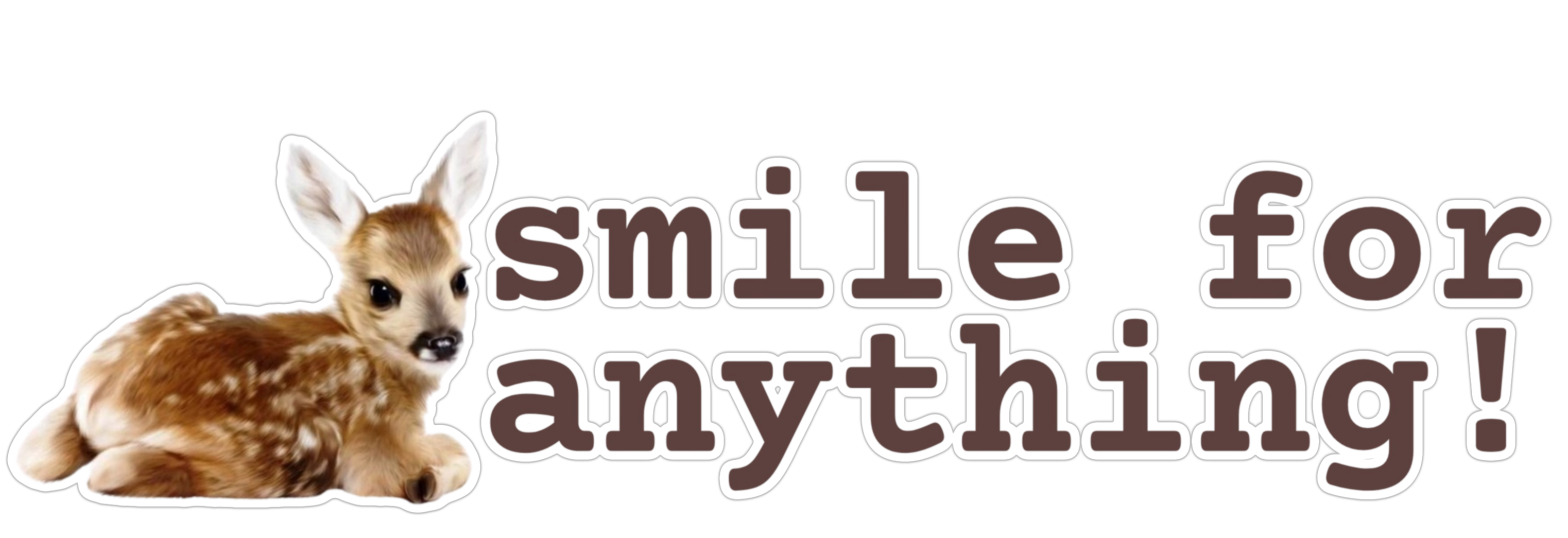 smile 4 anything